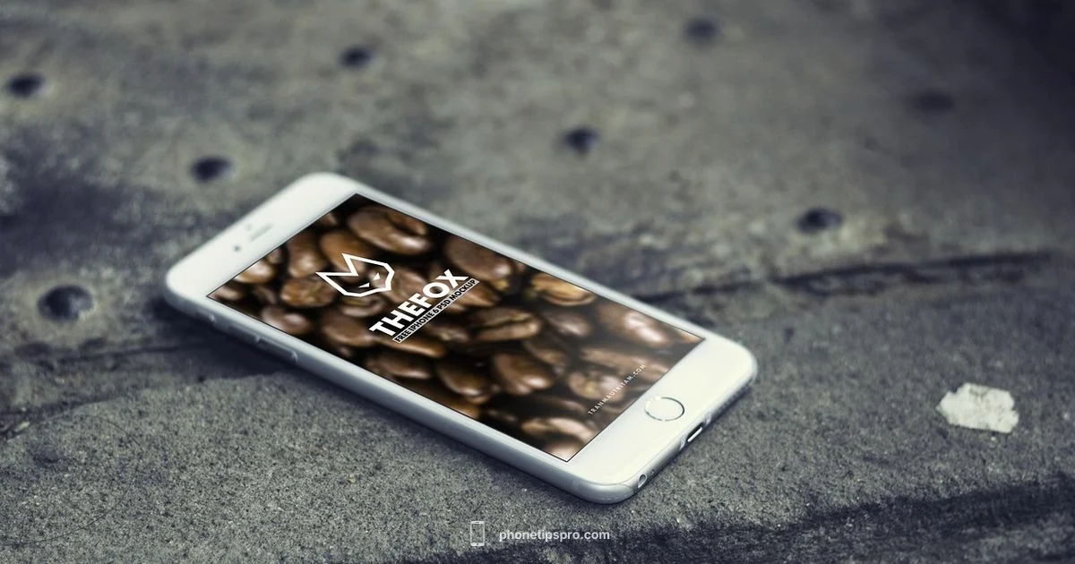 iPhone vs Android iPhone vs Android - Phone Tips Pro