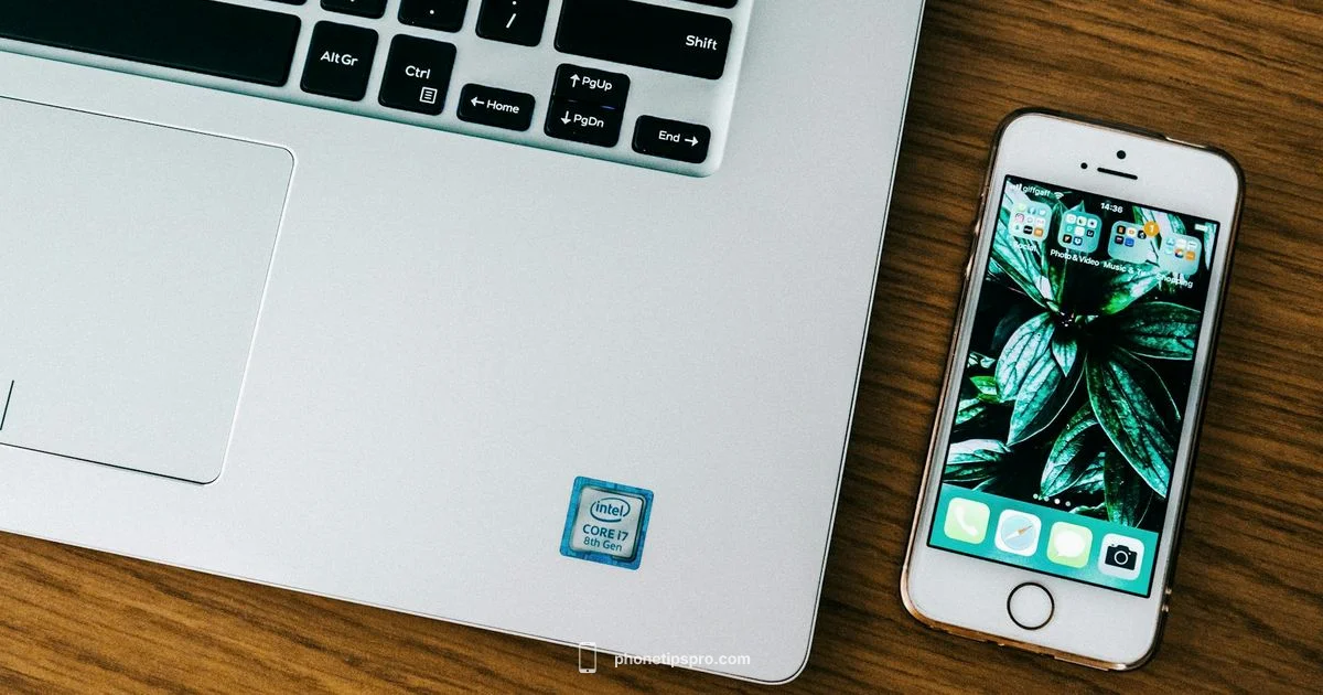 Size Showdown: iPhone 17 vs 16 Size Showdown: iPhone 17 vs 16 - Phone Tips Pro