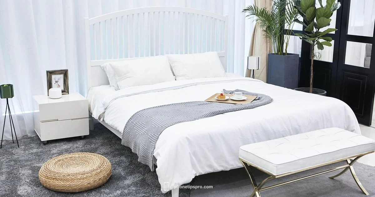 iPhone Health Guide - Phone Tips Pro