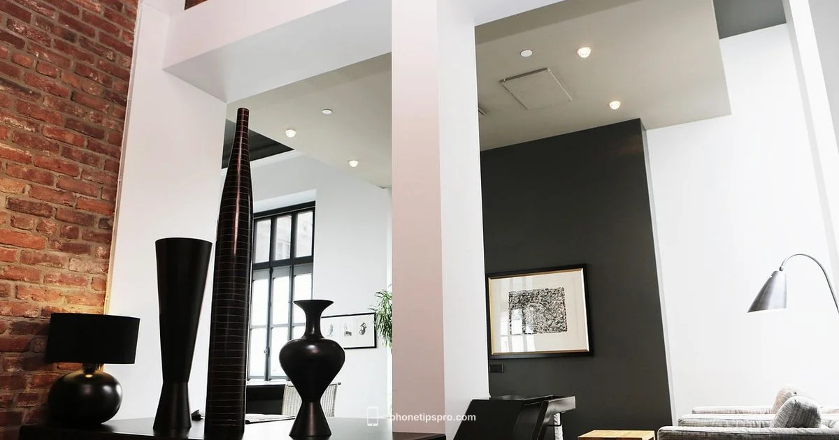 Plus Size Dilemma Plus Size Dilemma - Phone Tips Pro