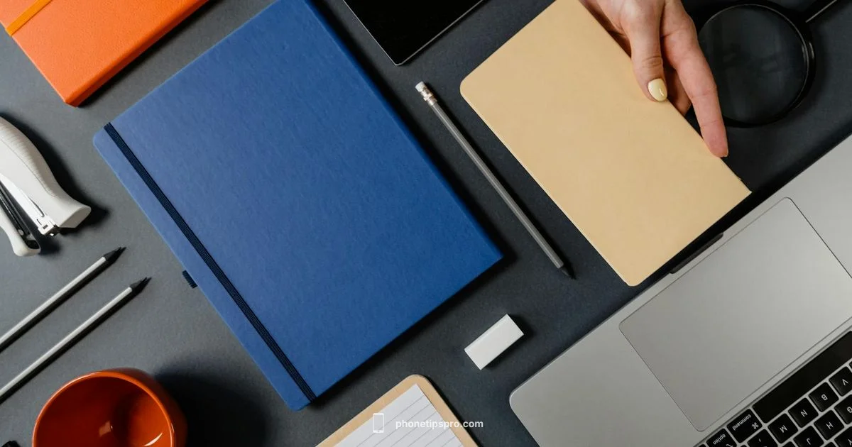 All iPhones in Order - Phone Tips Pro