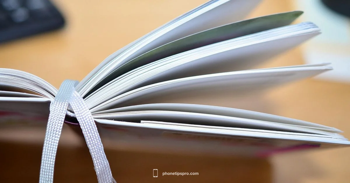 iPhone 16 Series Guide iPhone 16 Series Guide - Phone Tips Pro