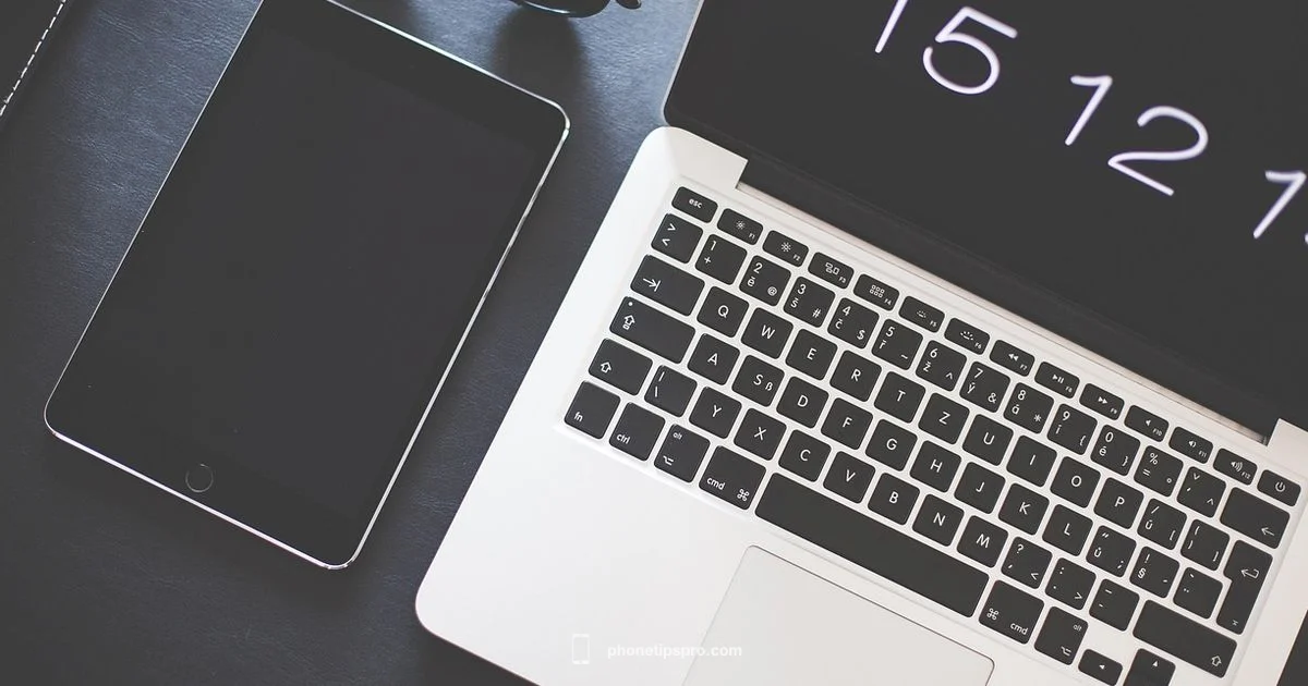 Who Owns iPhone - Phone Tips Pro