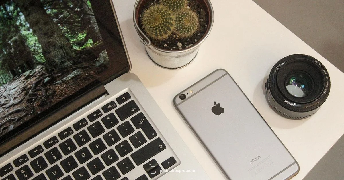 iPhone 15 Pro Max Setup - Phone Tips Pro