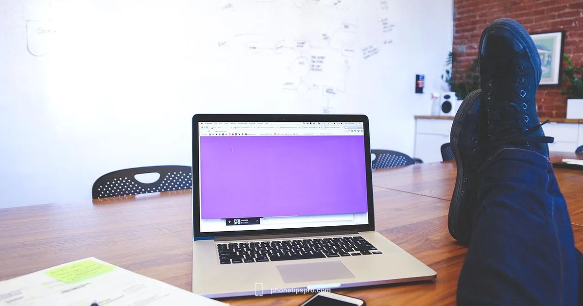 Purchase Date Hint - Phone Tips Pro