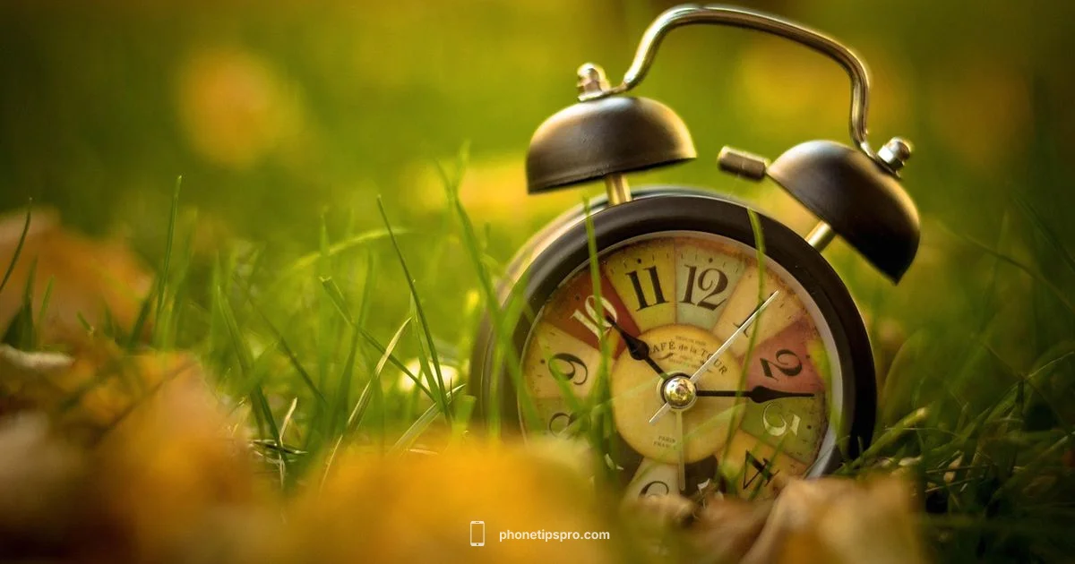 Alarm Fix Guide Alarm Fix Guide - Phone Tips Pro