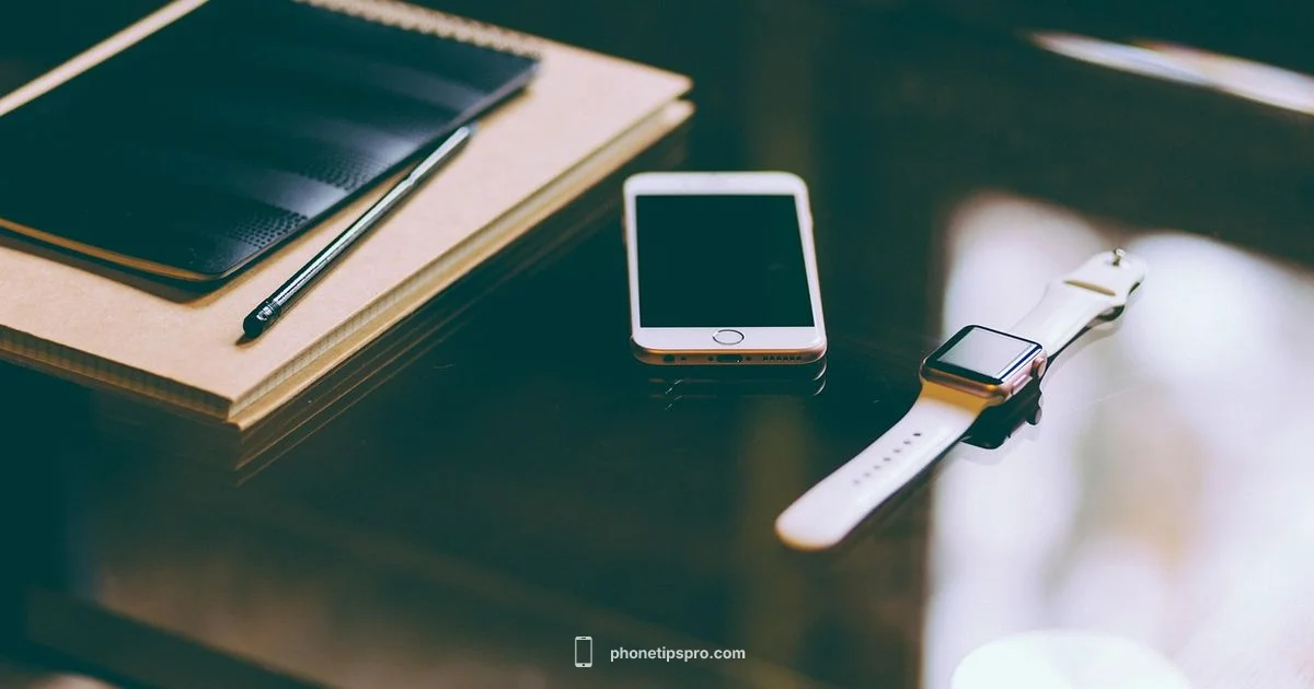 2015 iPhone lineup - Phone Tips Pro