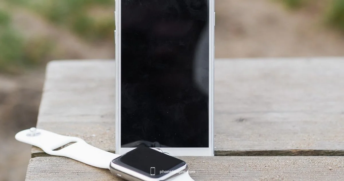 Master iPhone Wallet - Phone Tips Pro