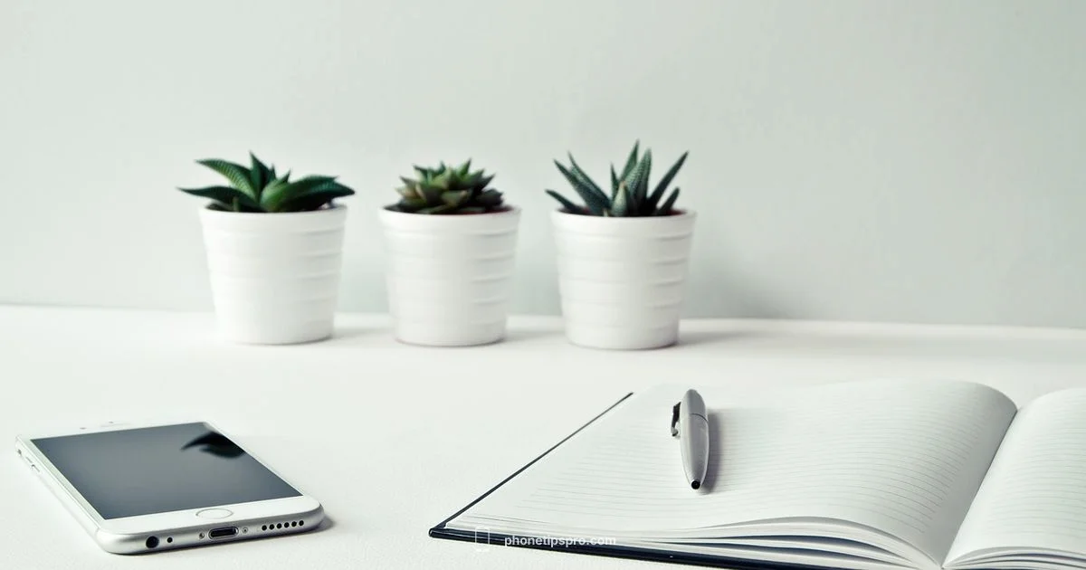 Phone Showdown 2026 - Phone Tips Pro