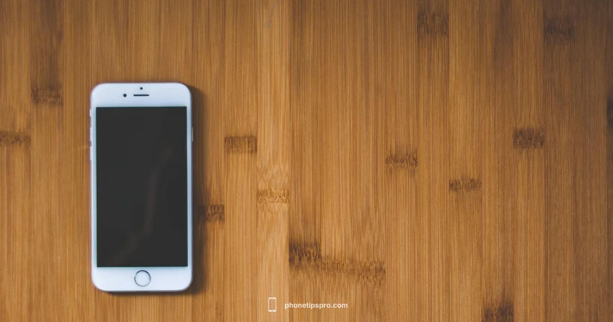 iPhone X in 2026 iPhone X in 2026 - Phone Tips Pro