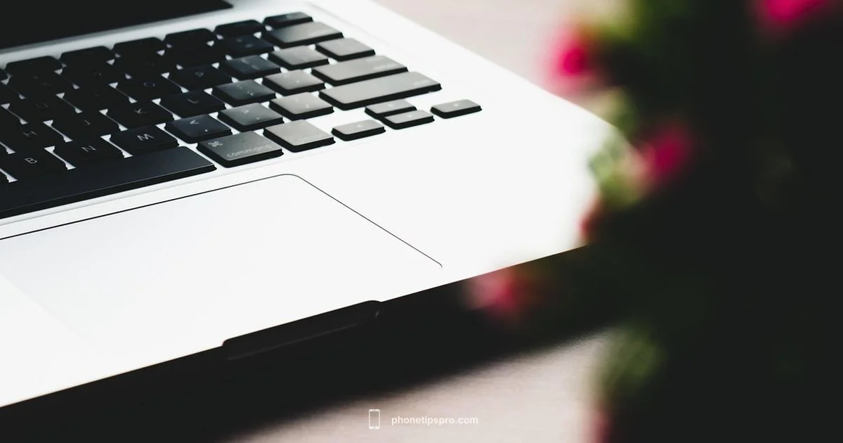 iPhone Price Preview iPhone Price Preview - Phone Tips Pro