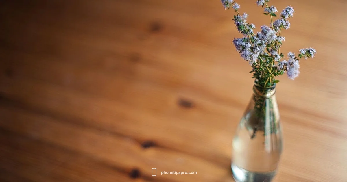 Check Your iPhone Serial Check Your iPhone Serial - Phone Tips Pro