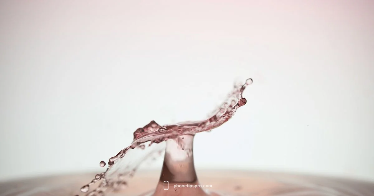 Water Safety Guide - Phone Tips Pro