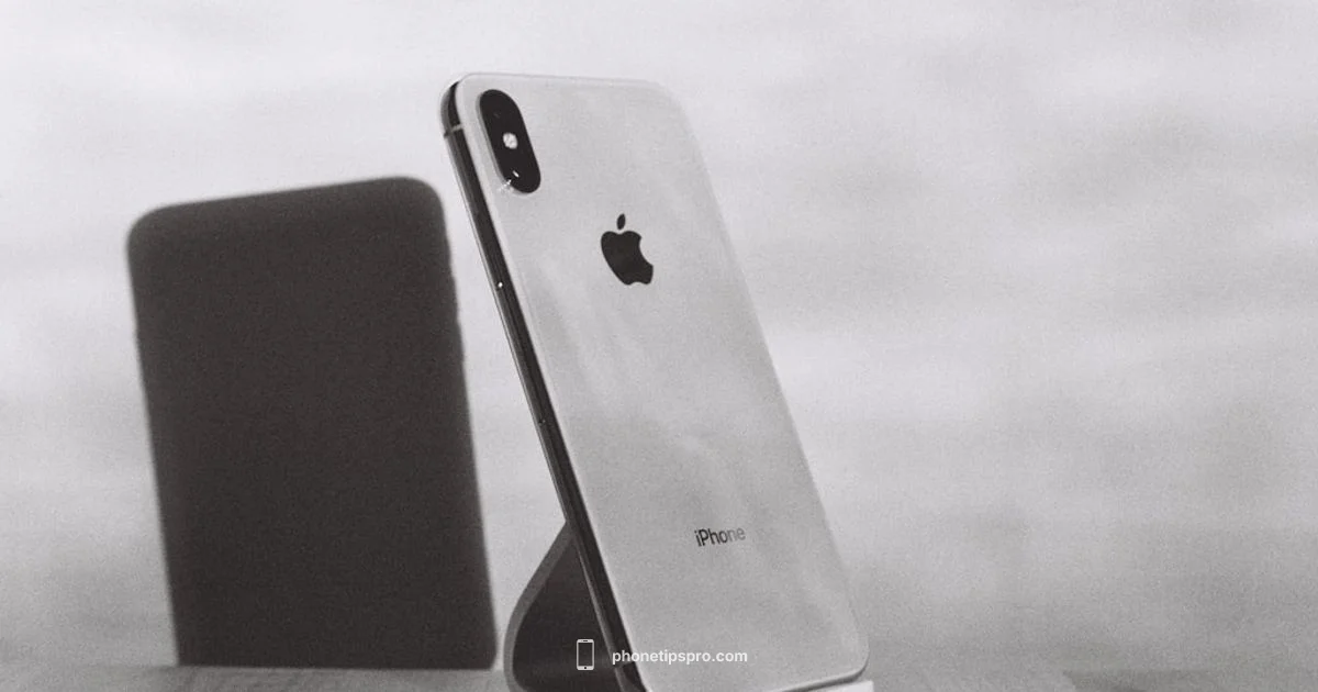 XR Launch Timeline XR Launch Timeline - Phone Tips Pro