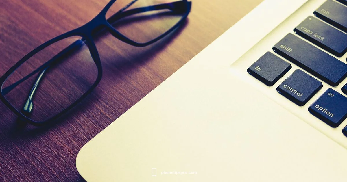 iPhone 16 Pro Max 256GB iPhone 16 Pro Max 256GB - Phone Tips Pro