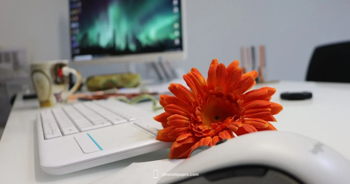 iPhone as PC Webcam - Phone Tips Pro