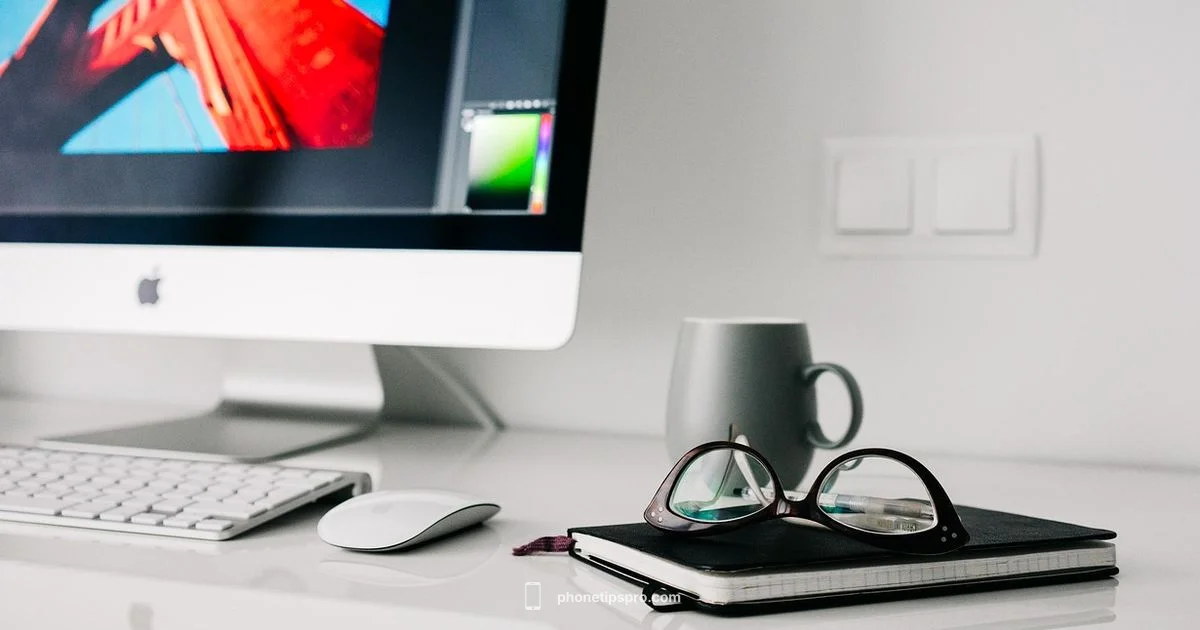 Back Material Timeline Back Material Timeline - Phone Tips Pro