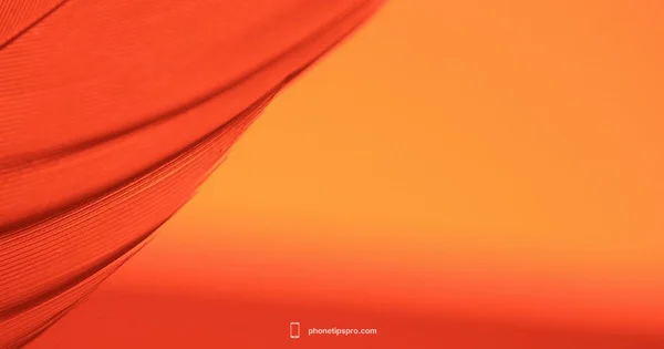 Vibrant Gradients - Phone Tips Pro