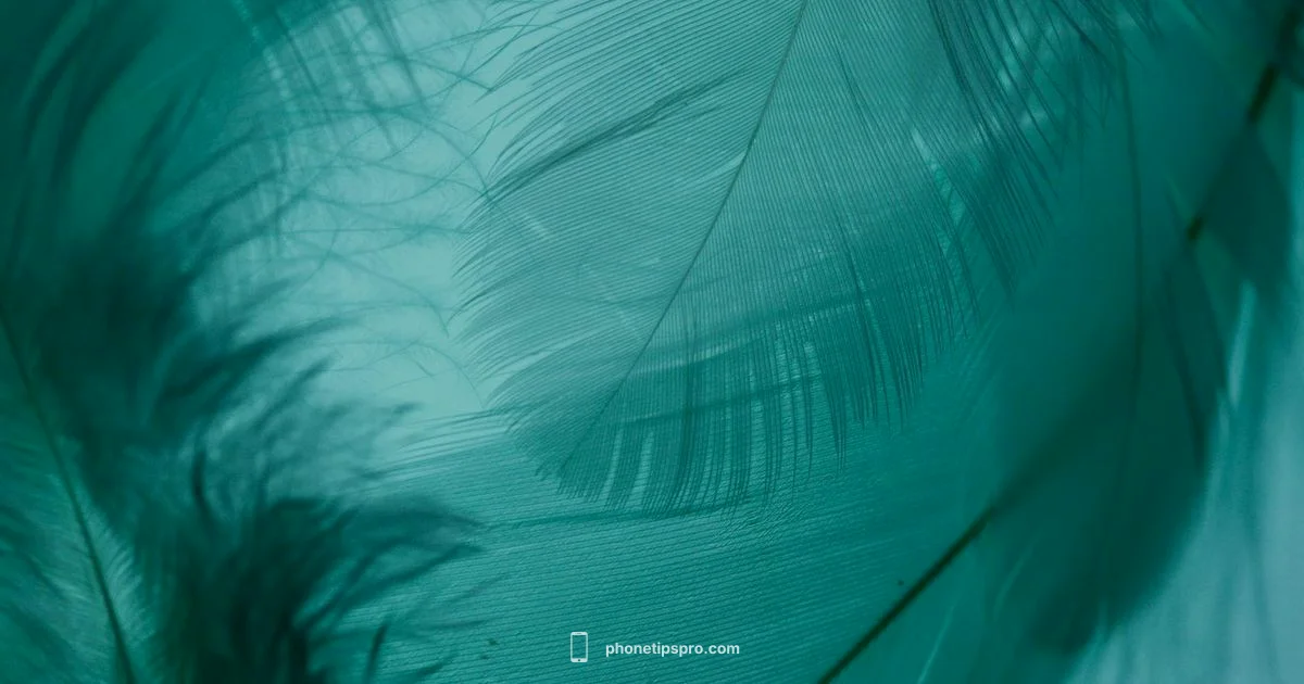 Teal iPhone 16 - Phone Tips Pro