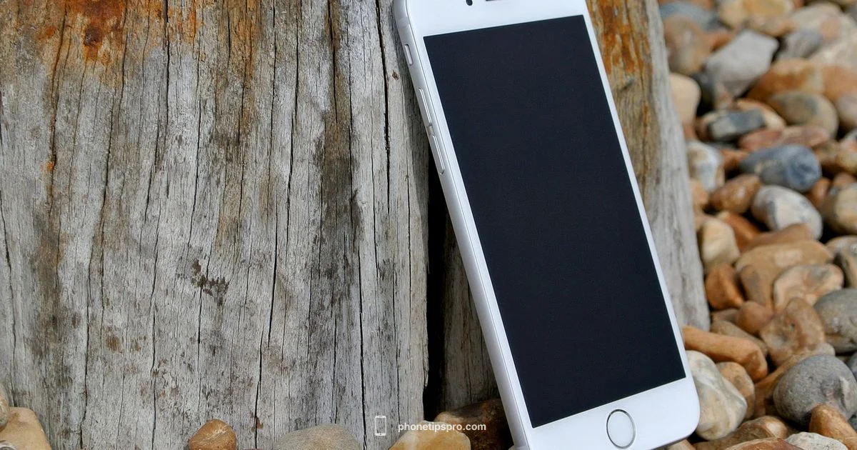 iPhone 8 Release iPhone 8 Release - Phone Tips Pro