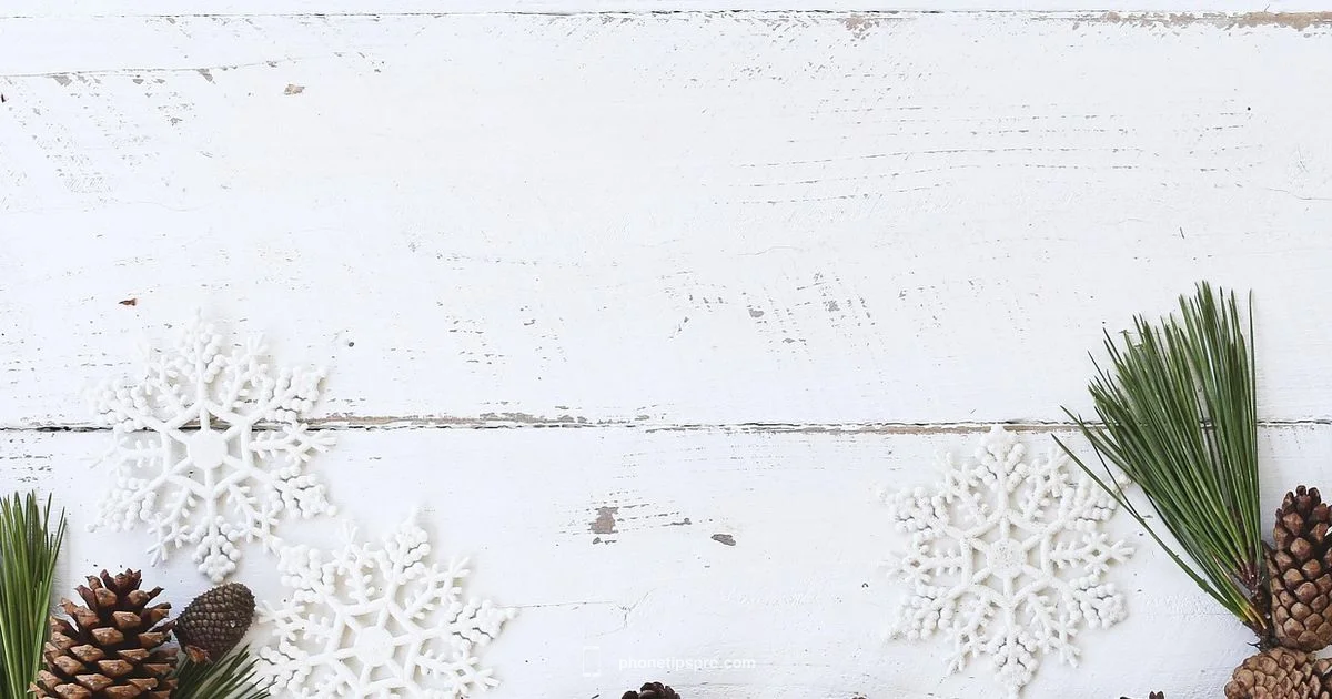 Red iPhone Overview Red iPhone Overview - Phone Tips Pro