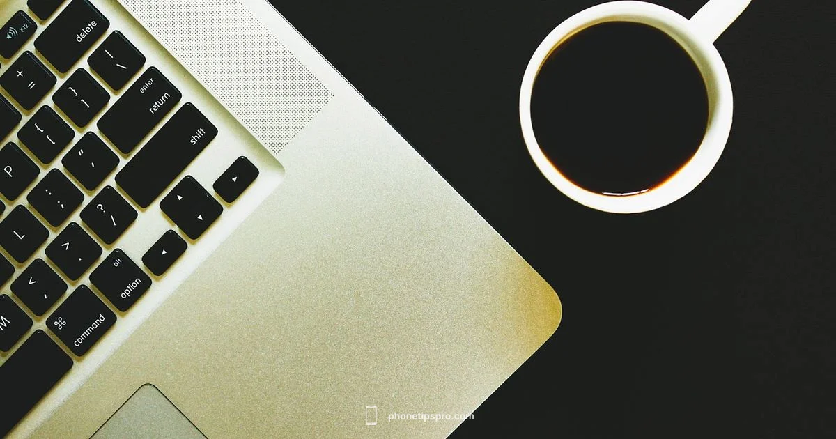 iPhone 17 Case Options iPhone 17 Case Options - Phone Tips Pro