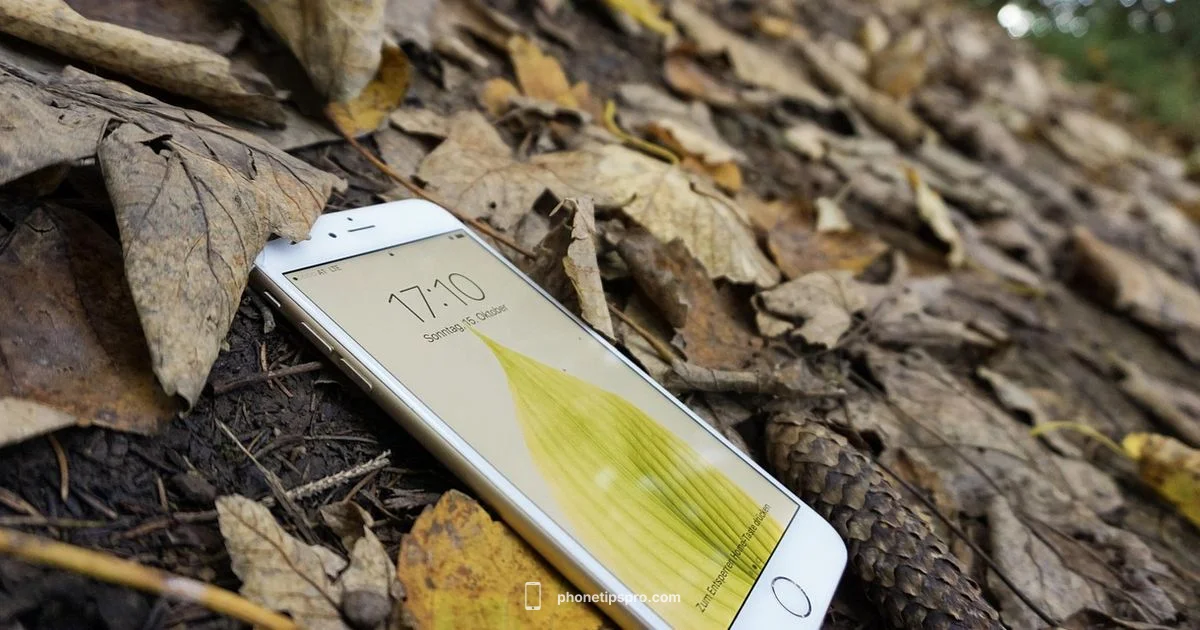 iPhone 16 vs 16e - Phone Tips Pro