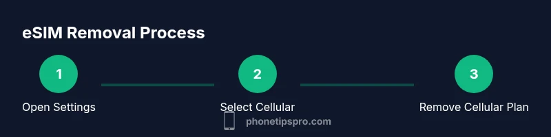 infographic showing three steps to remove eSIM on iPhone