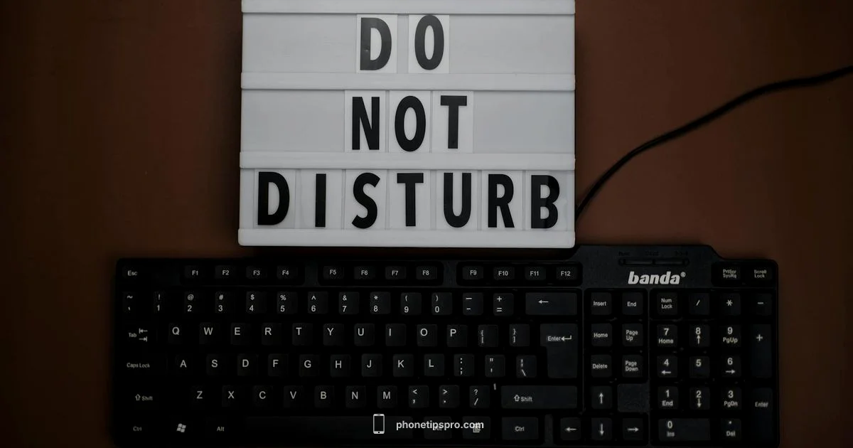 Disable Do Not Disturb - Phone Tips Pro