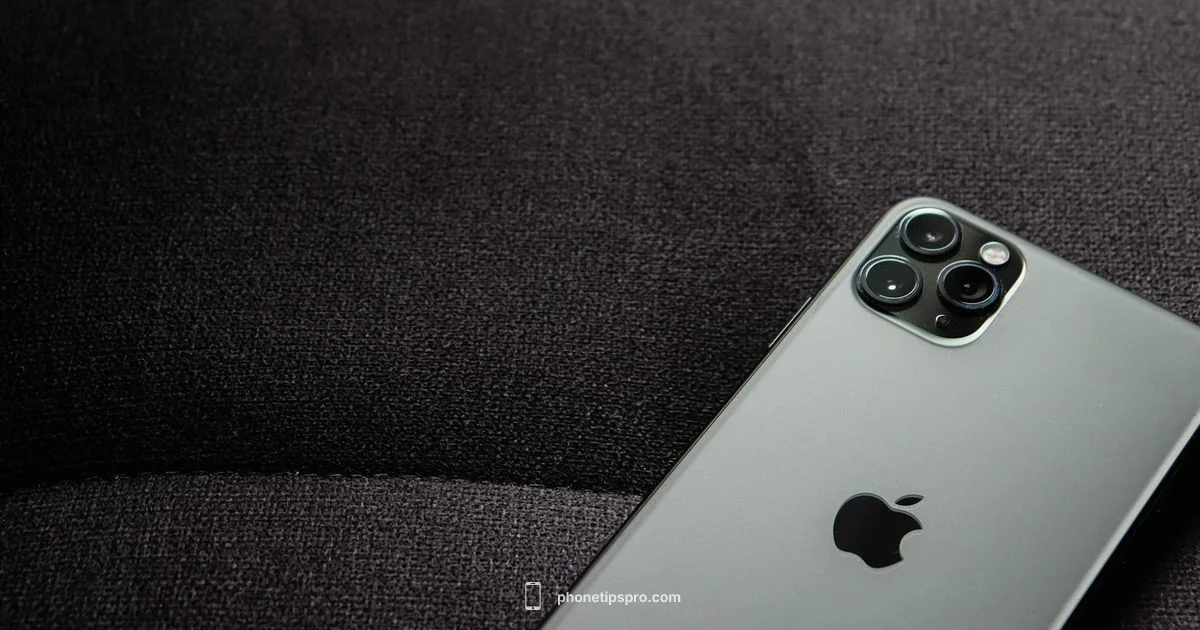 Which iPhone Has the Best Camera - Phone Tips Pro