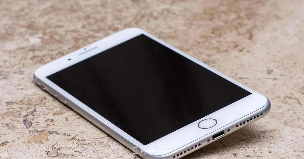 iPhone 3G Guide - Phone Tips Pro