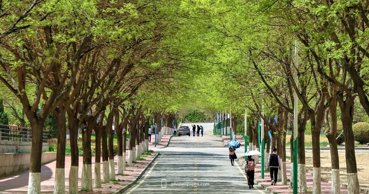 Best iPhone for Teens - Phone Tips Pro