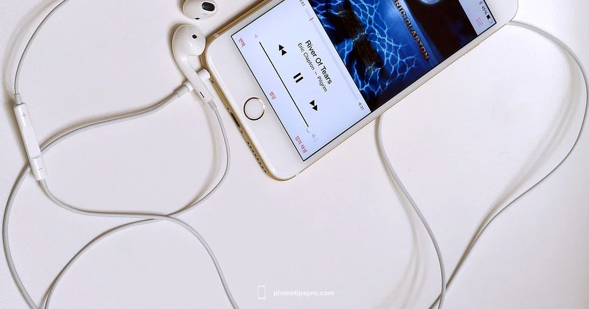 Plus vs Pro Max Plus vs Pro Max - Phone Tips Pro