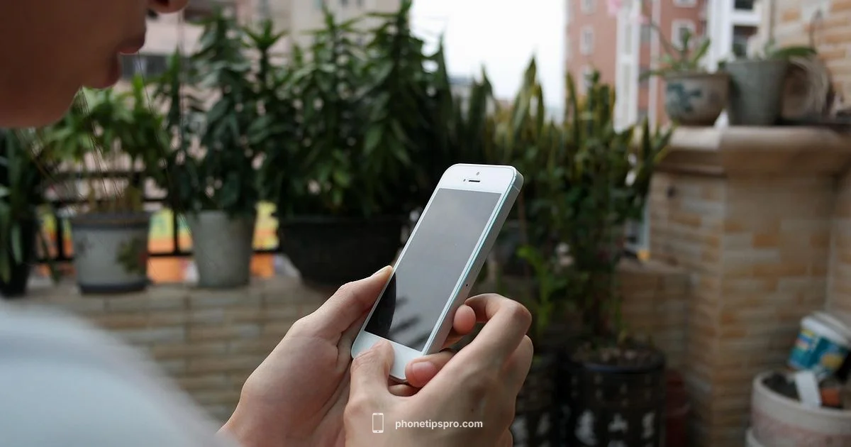 2013 iPhone Duo - Phone Tips Pro