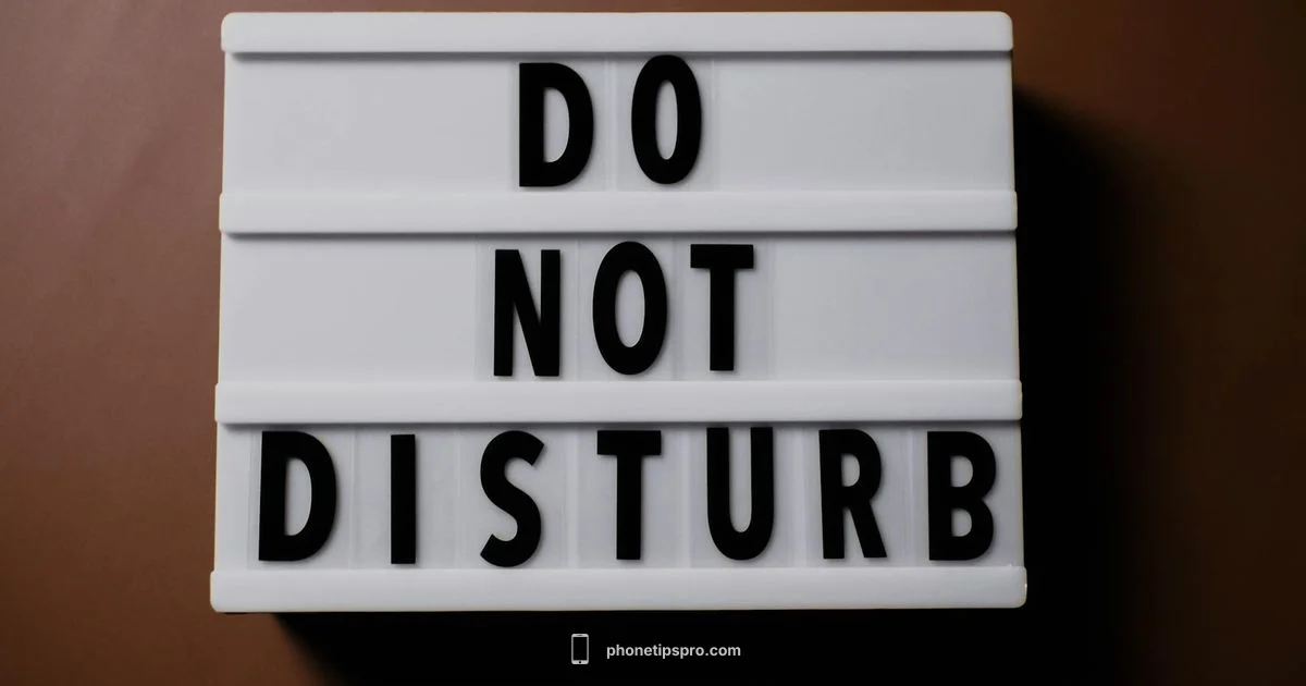 Check iPhone DND Check iPhone DND - Phone Tips Pro