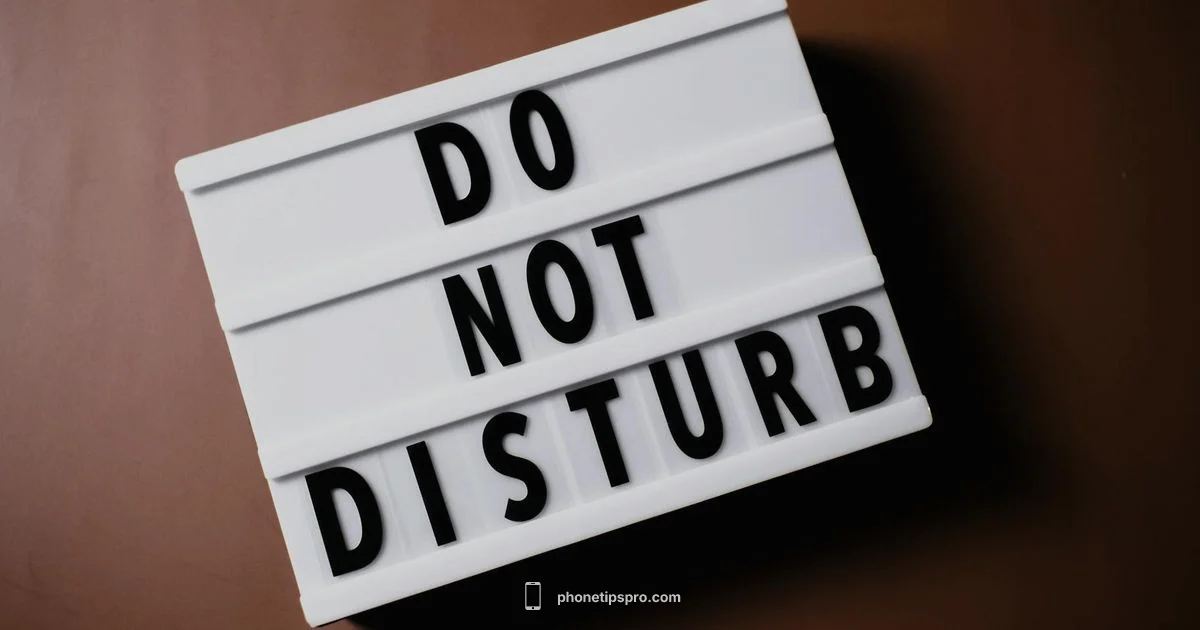 DND Deep Dive DND Deep Dive - Phone Tips Pro