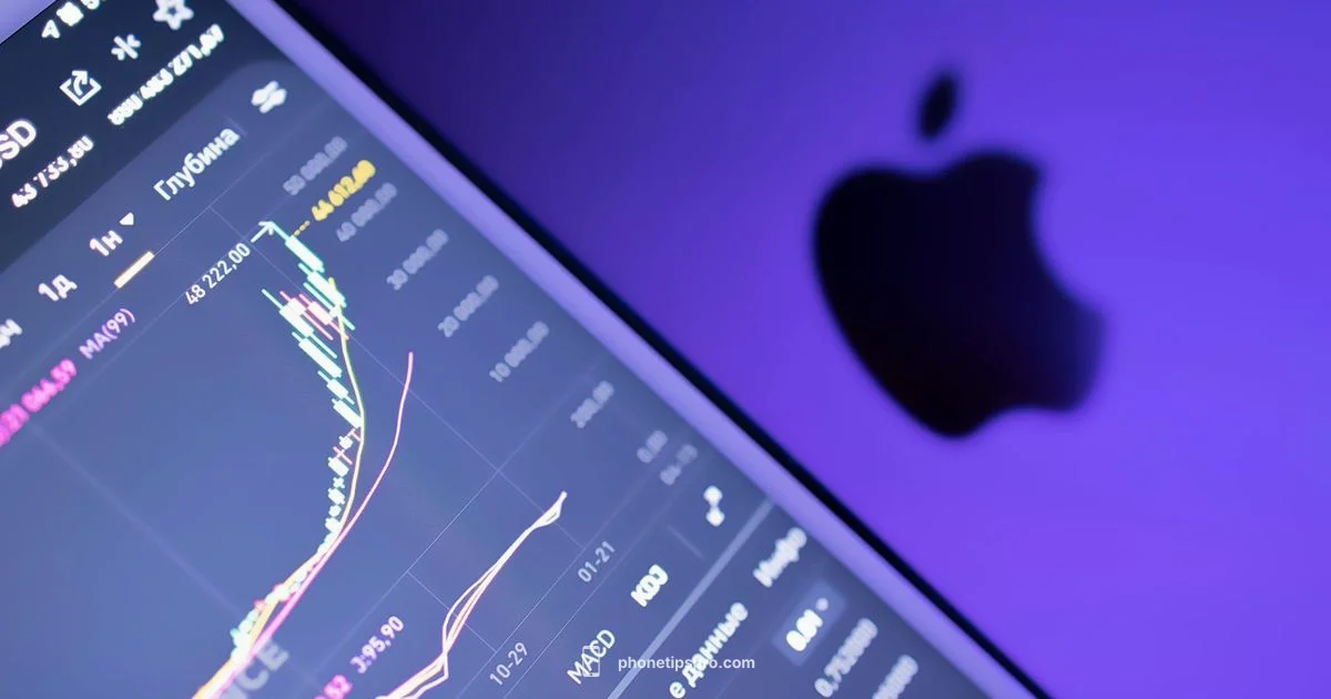 Activation Lock Guide - Phone Tips Pro