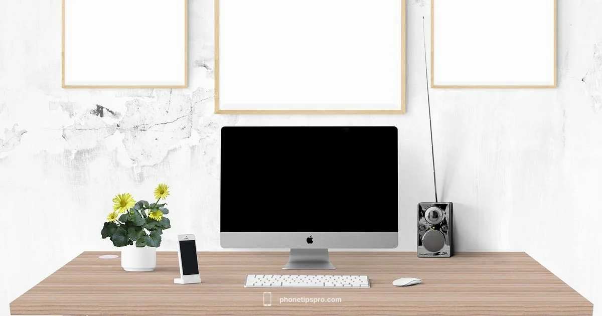 iPhone 14 vs 15 - Phone Tips Pro