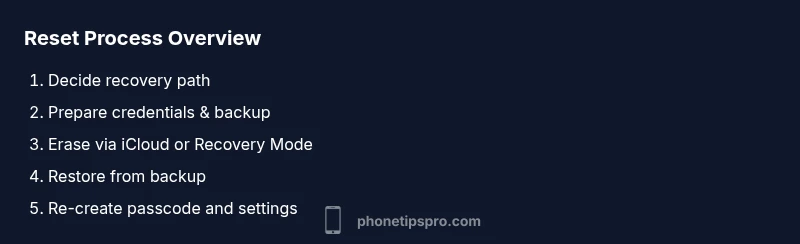 Process diagram for resetting iPhone passcode