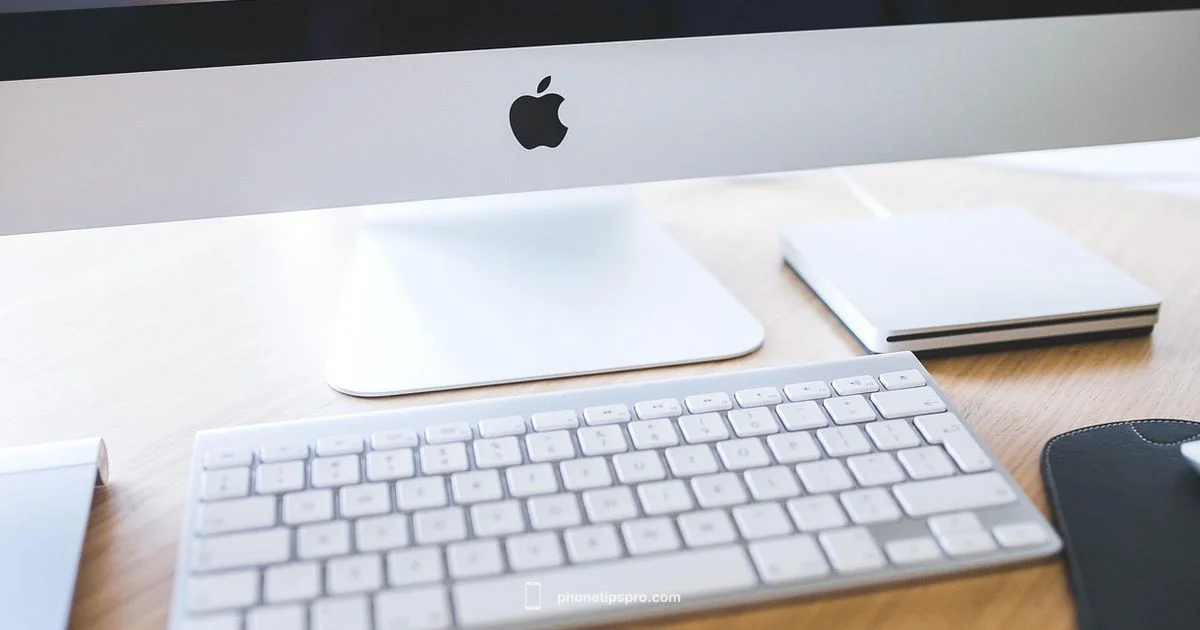 Screen Protectors for iPhone 16 Pro - Phone Tips Pro