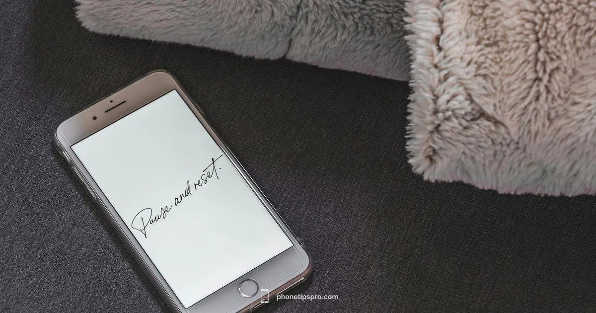 Reset iPhone Remotely - Phone Tips Pro