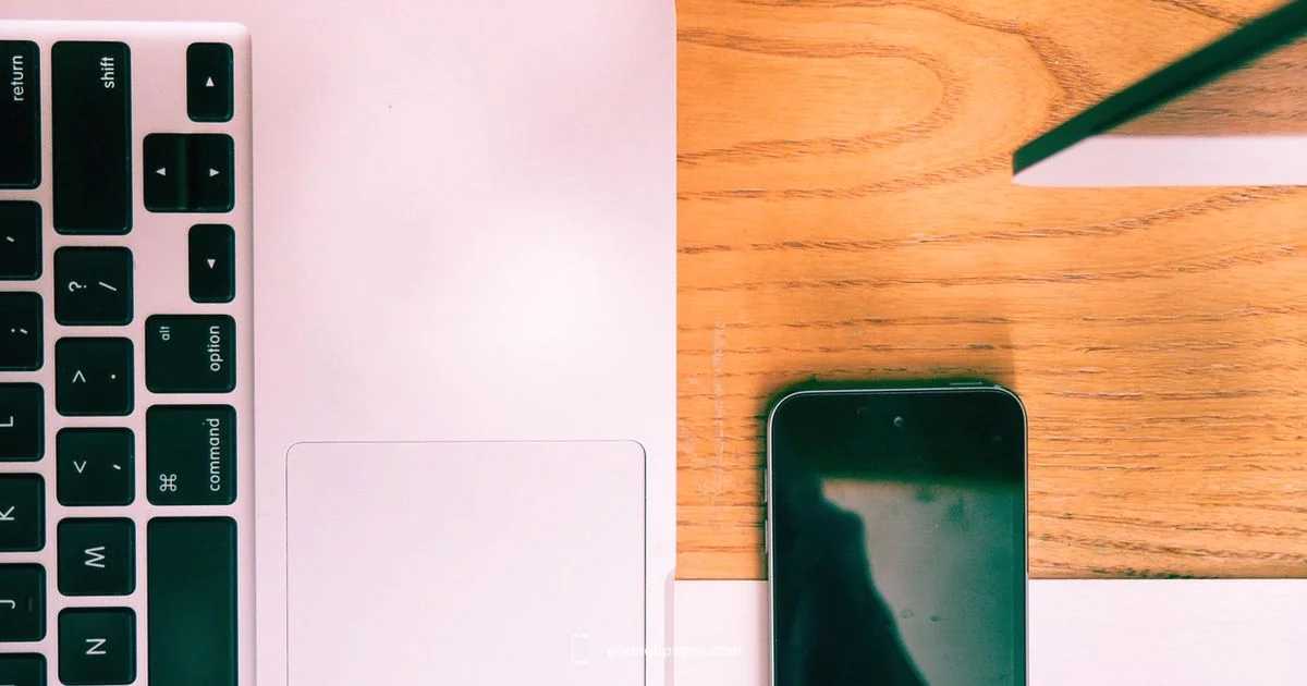 Relocate iPhone Backups Relocate iPhone Backups - Phone Tips Pro