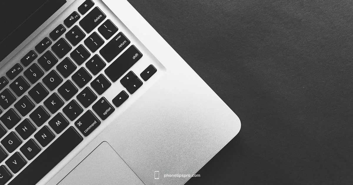 Orange iPhone Variant - Phone Tips Pro