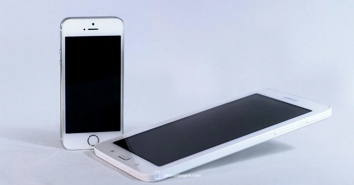iPhone vs Samsung 2025 - Phone Tips Pro