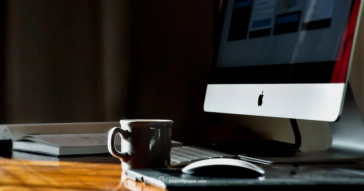 iPhone 13 in 2025 iPhone 13 in 2025 - Phone Tips Pro