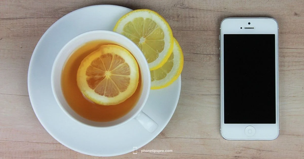 iPhone vs BlackBerry - Phone Tips Pro