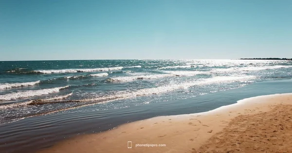 Saltwater Guide - Phone Tips Pro