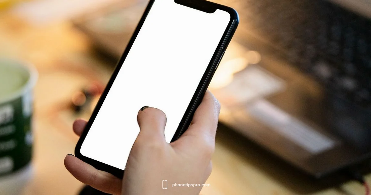 Mirror iPhone Screen Mirror iPhone Screen - Phone Tips Pro