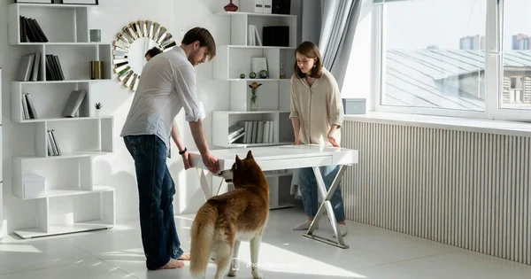 iPhone vs Android - Phone Tips Pro