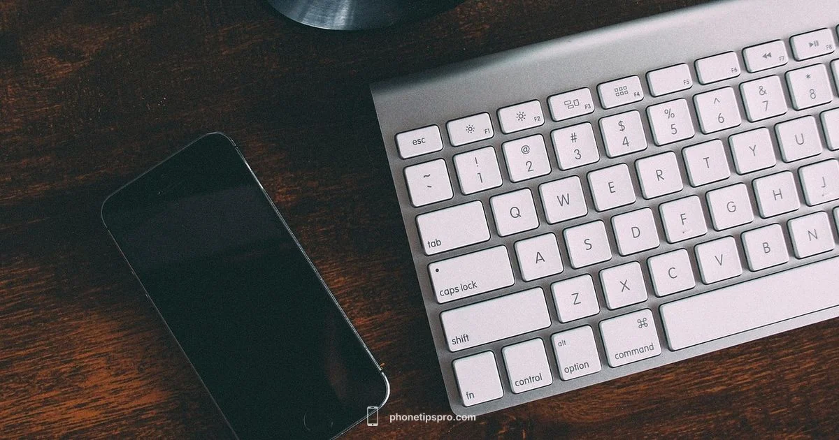 iPhone Warranty Check - Phone Tips Pro